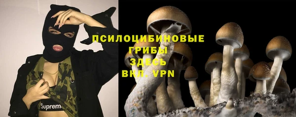 героин Вяземский