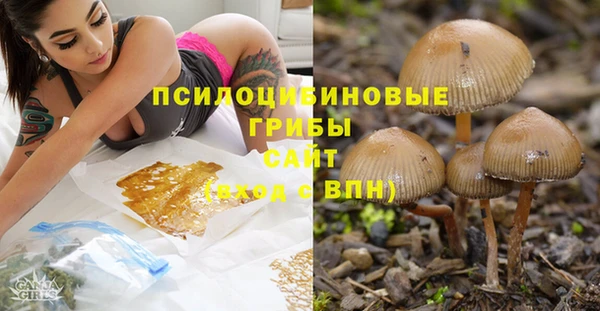 соль курить ск Козловка