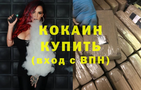 молекула духа Козельск