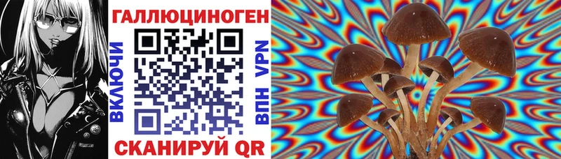 Псилоцибиновые грибы Cubensis  купить  цена  Данков 